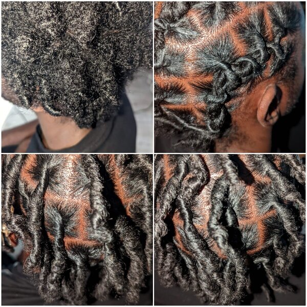 Reprise racines Twist